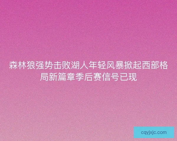 森林狼强势击败湖人年轻风暴掀起西部格局新篇章季后赛信号已现