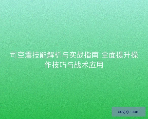 司空震技能解析与实战指南 全面提升操作技巧与战术应用