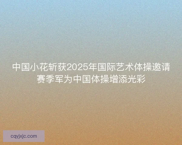 中国小花斩获2025年国际艺术体操邀请赛季军为中国体操增添光彩