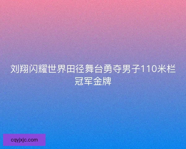 刘翔闪耀世界田径舞台勇夺男子110米栏冠军金牌